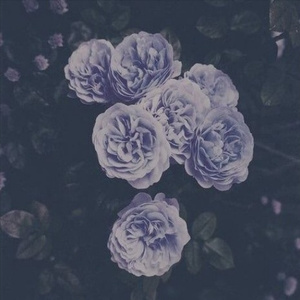 成人三级视频在线
